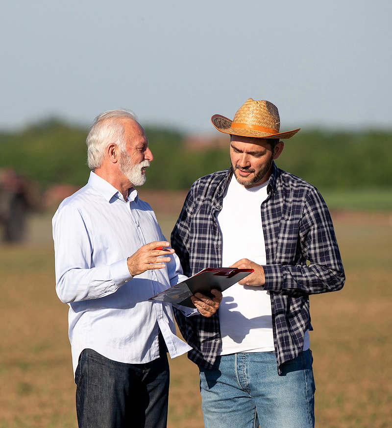 Assessment Assessment