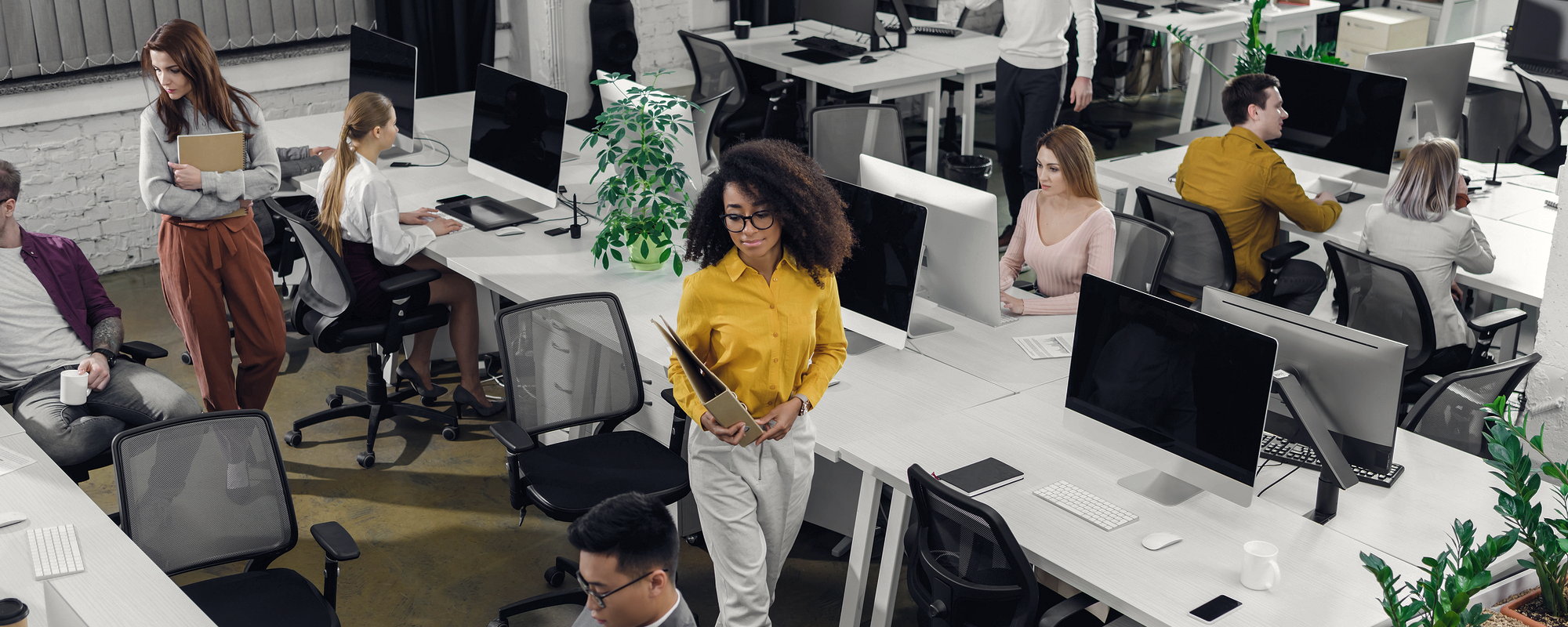 County Executive Office Reorganization