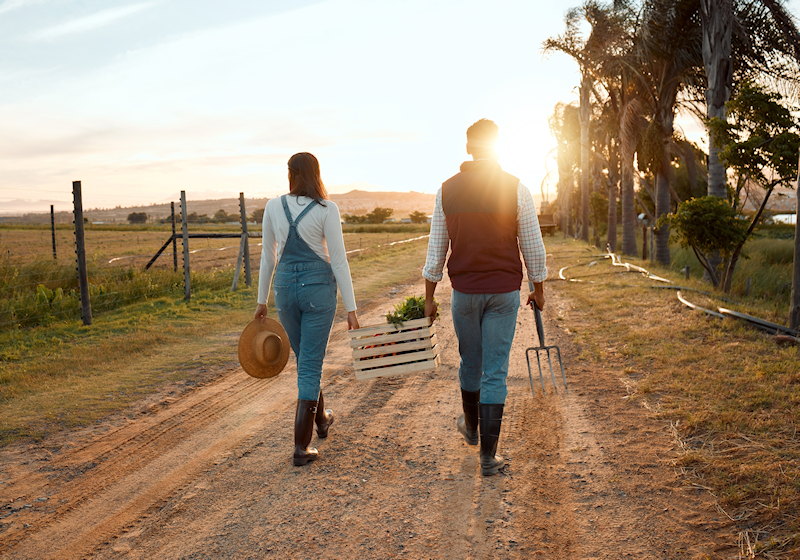 Two Farmers Walking Two Farmers Walking